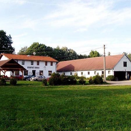 Staj Newport Hotel Dolní Domaslavice Exterior foto